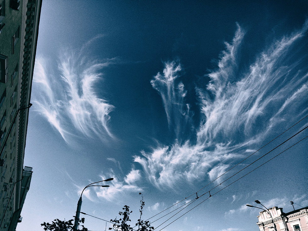 Над нами только небо - Виталий Павлов Над нами только небо - Виталий Павлов