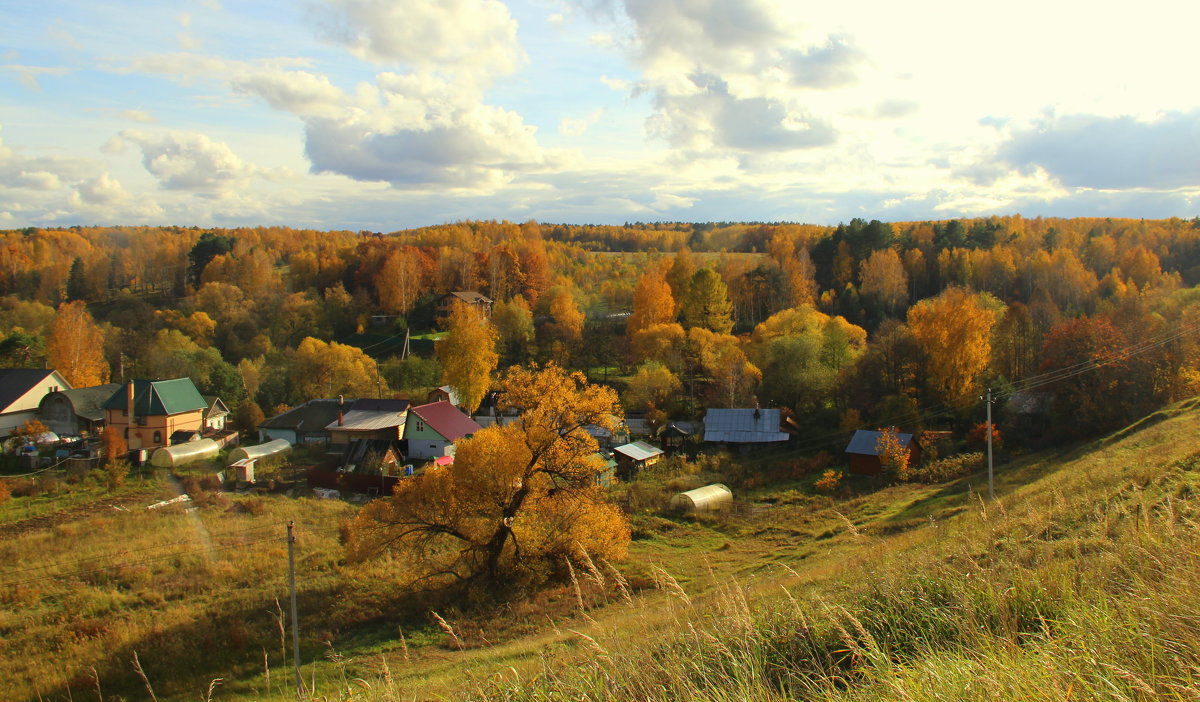 Краски осени - жанна нечаева