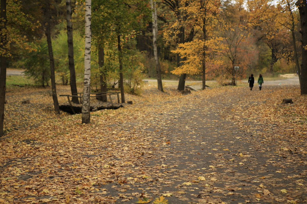 Центральный парк Воронежа 09 10 2019 - Юрий Клишин Центральный парк Воронежа 09 10 2019 - Юрий Клишин