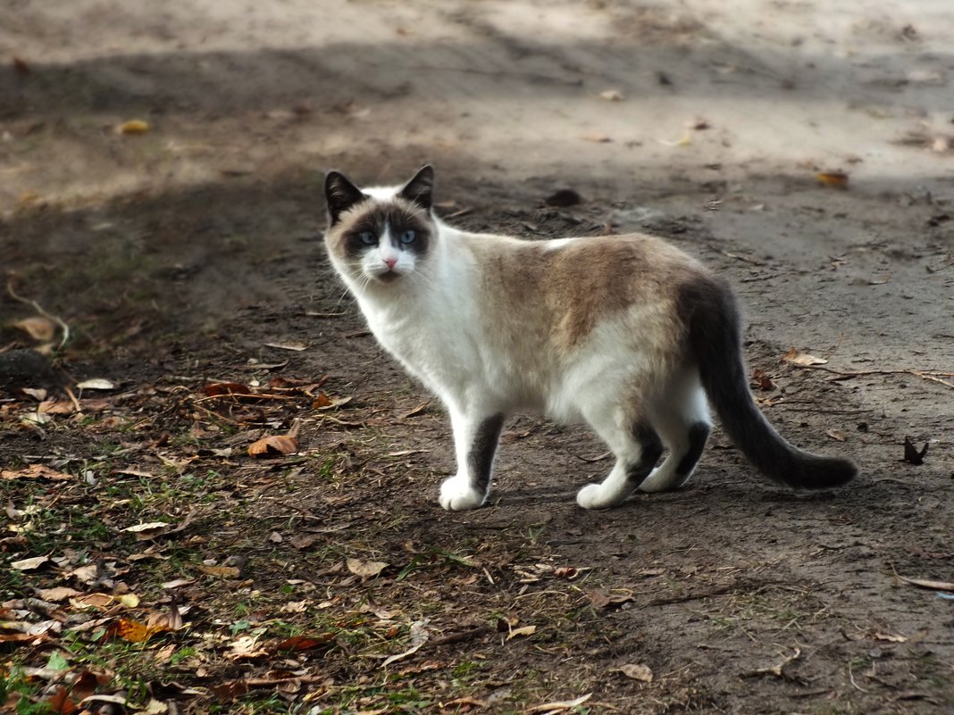 ** - Зоя Мишина