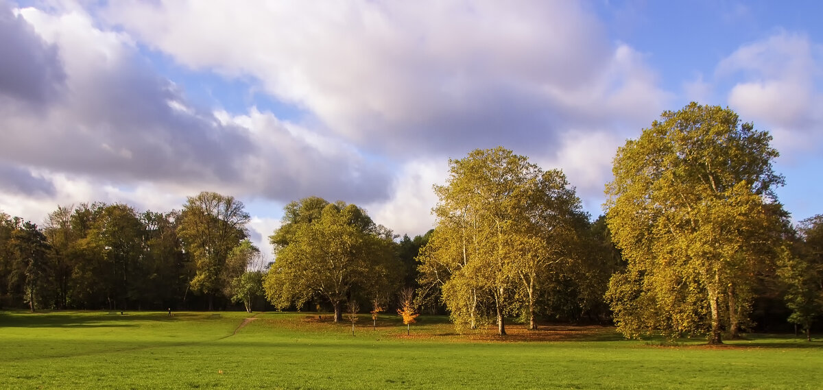 ** - Alexander Andronik