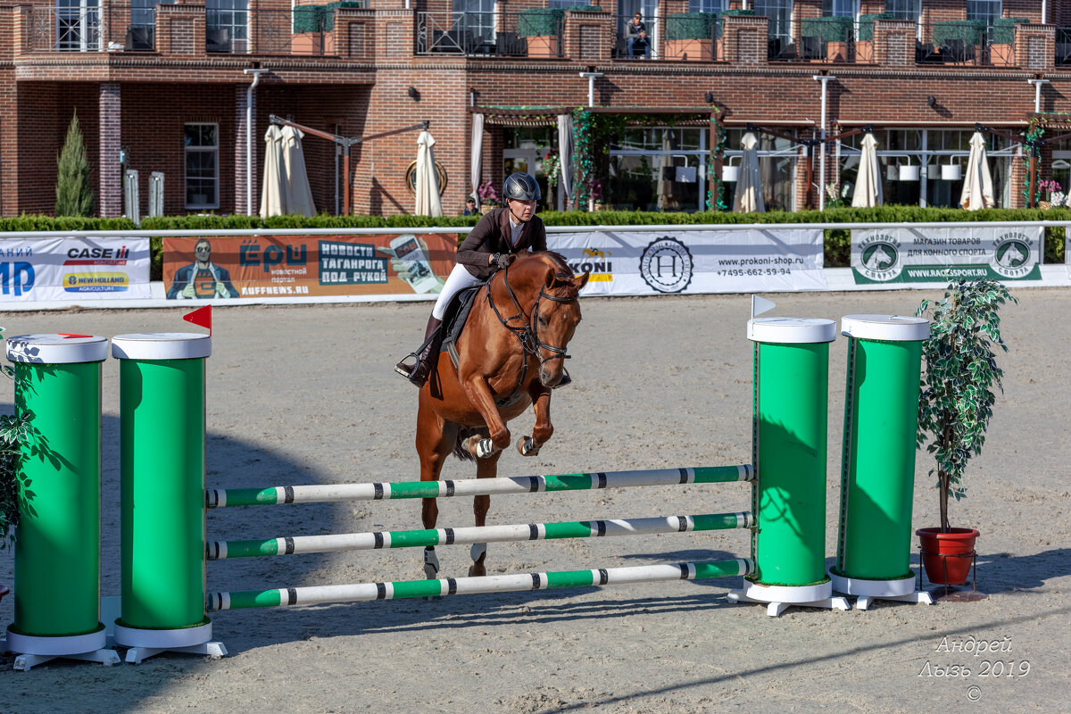 Кубок КСК Golden Horse 2019-10-13 - Андрей Lyz