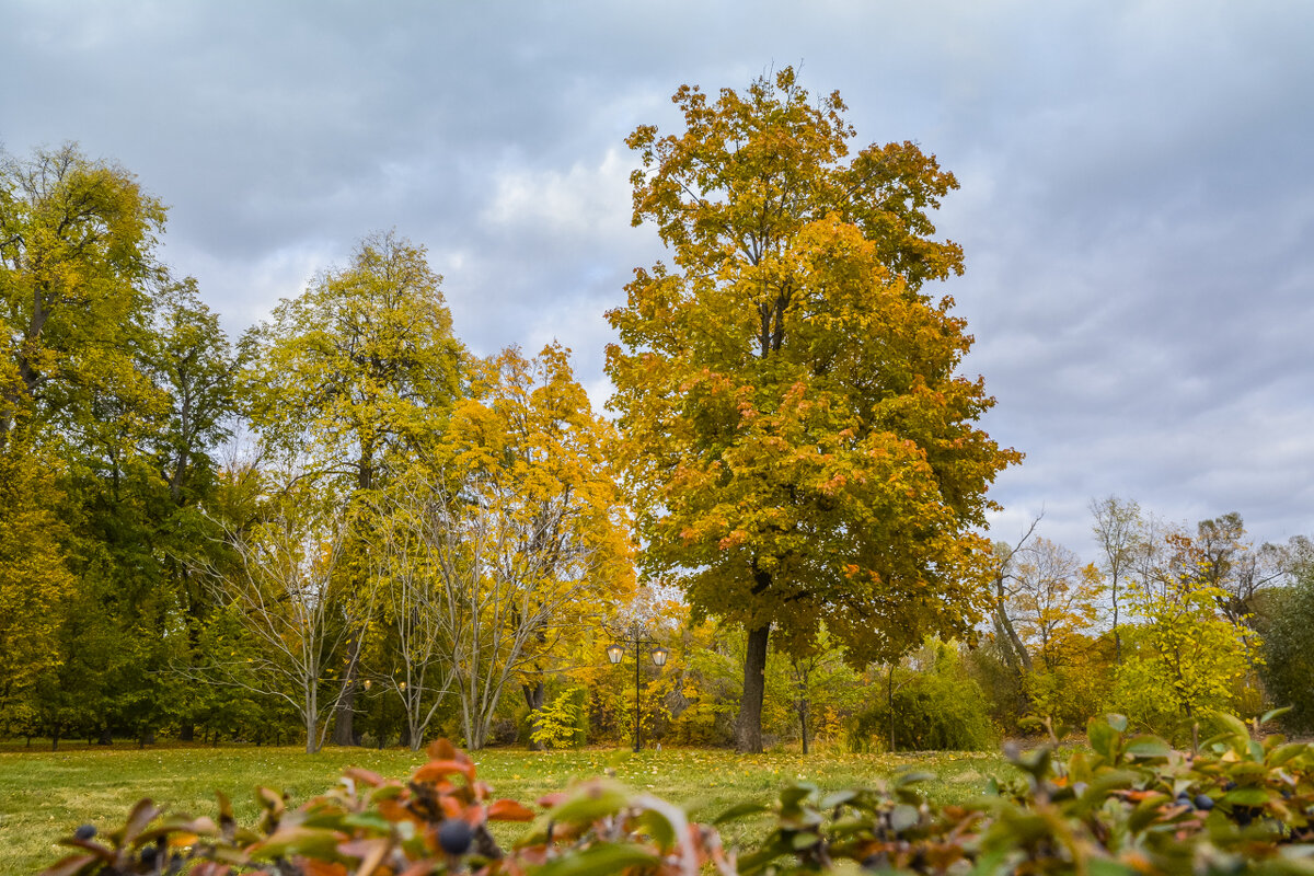 * - Ирина Фёдорова