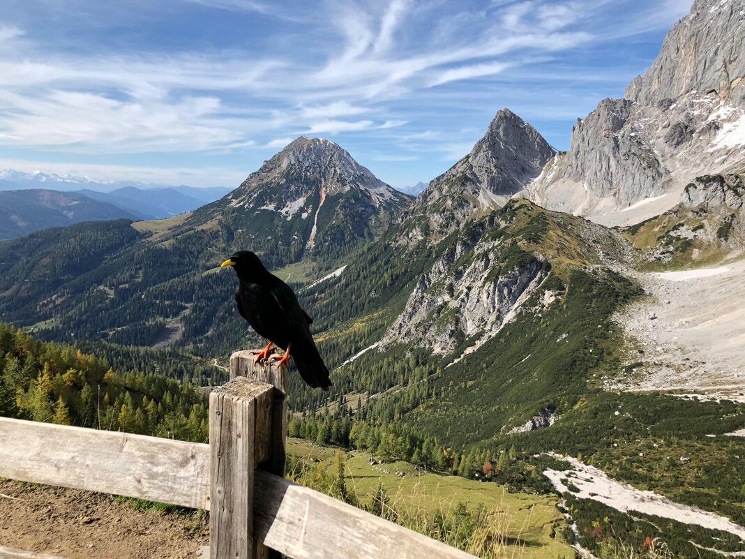 В Альпах... - Lilly 