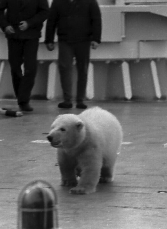 Заполярье - Иволий Щёголев