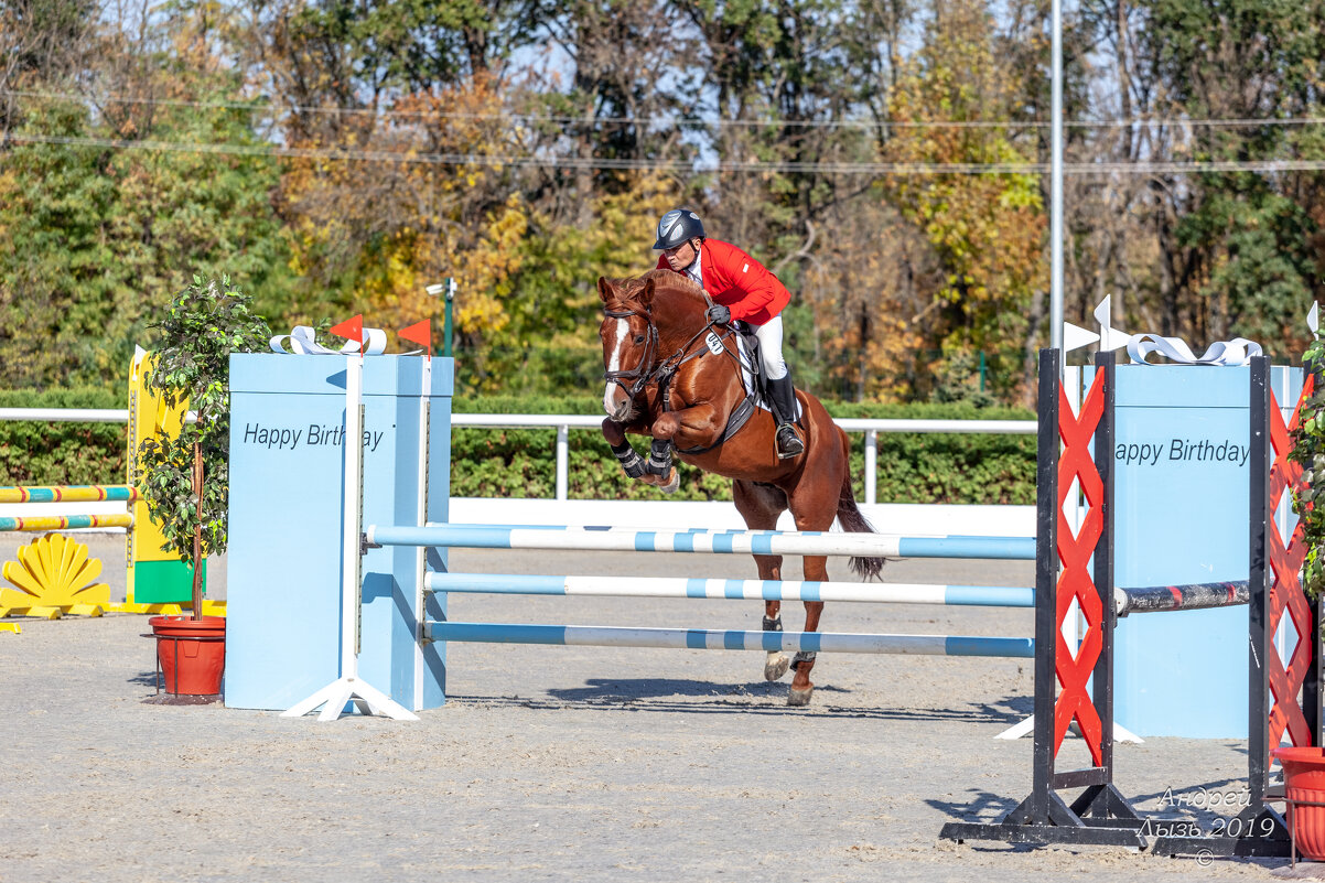 Кубок КСК Golden Horse 2019-10-13 - Андрей Lyz