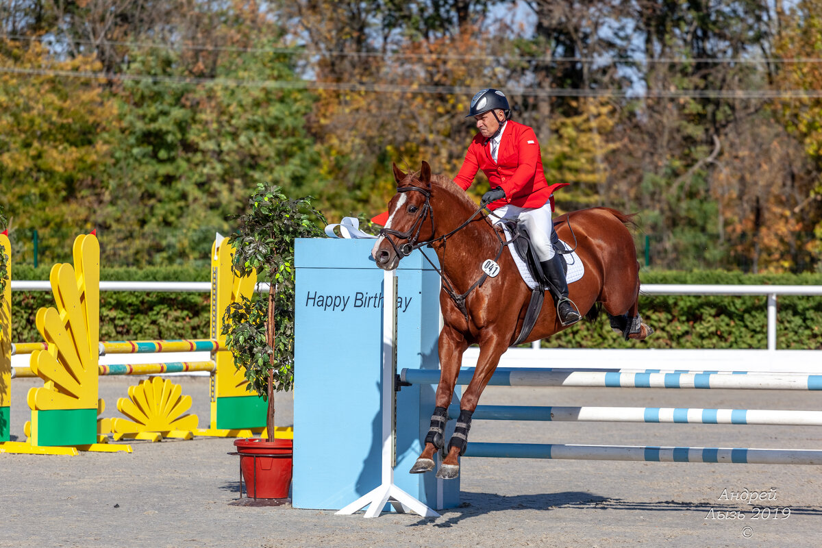 Кубок КСК Golden Horse 2019-10-13 - Андрей Lyz