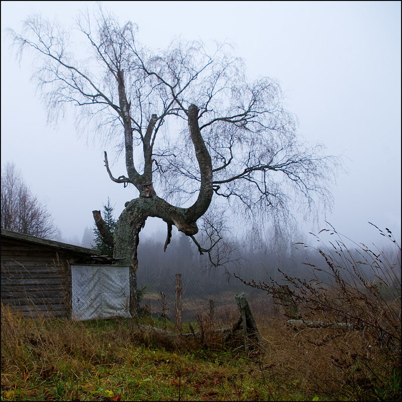 Осенний квадрат - Kventin Natabos 