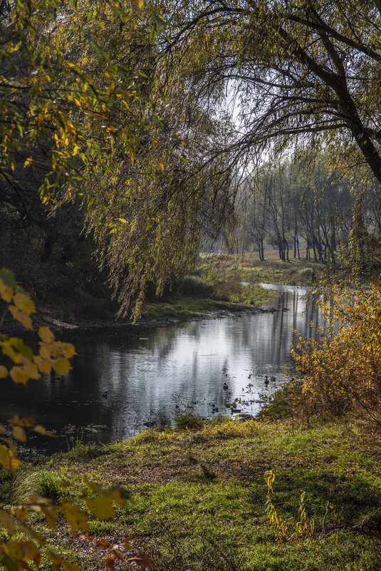 У р.Стрижень в Чернигове - Александр Крупский