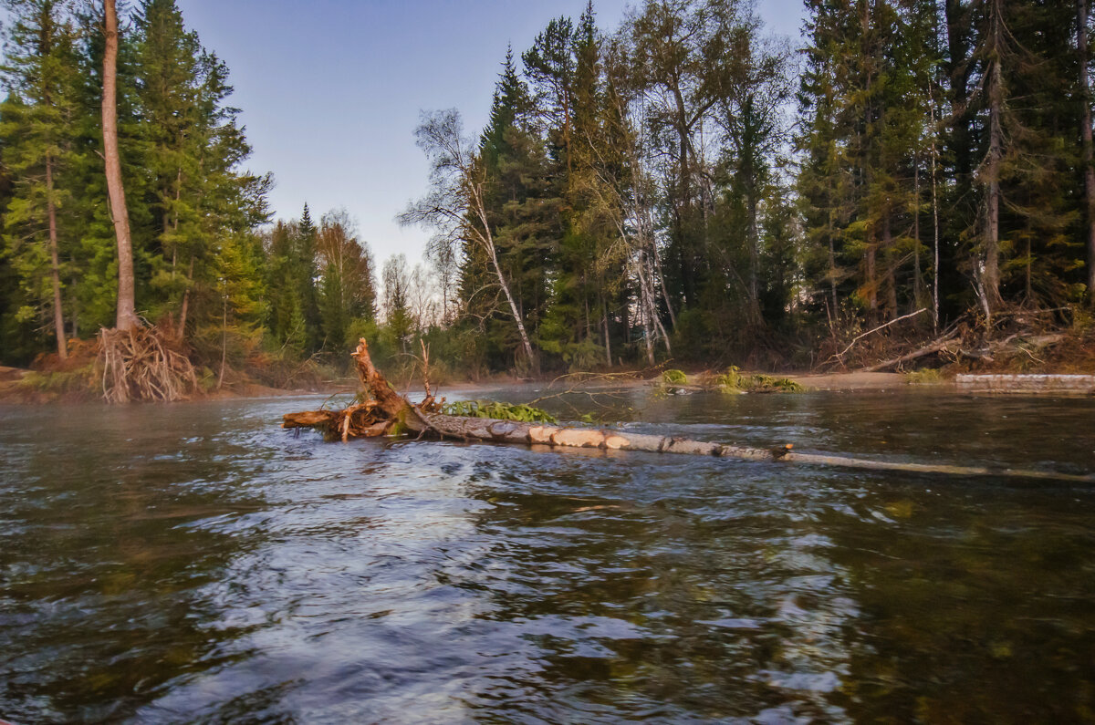*** - Дмитрий *** - Дмитрий