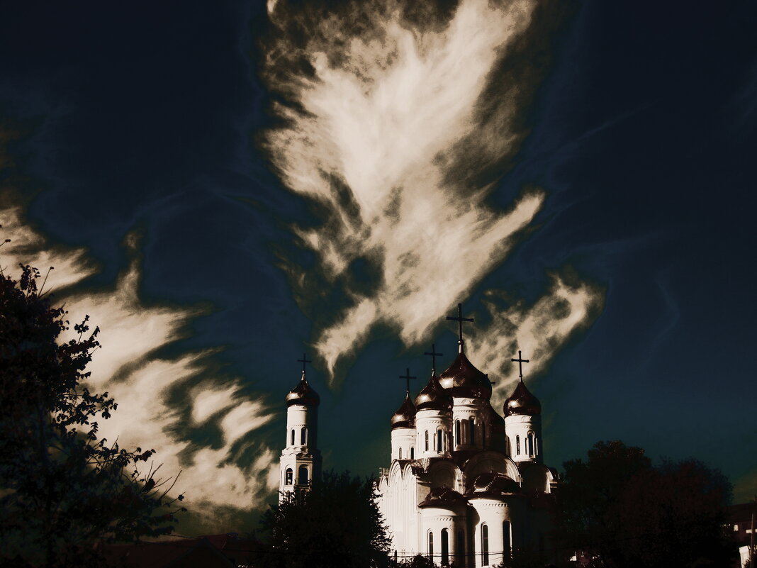 Мой Брянск 38 - Полина Куприянова