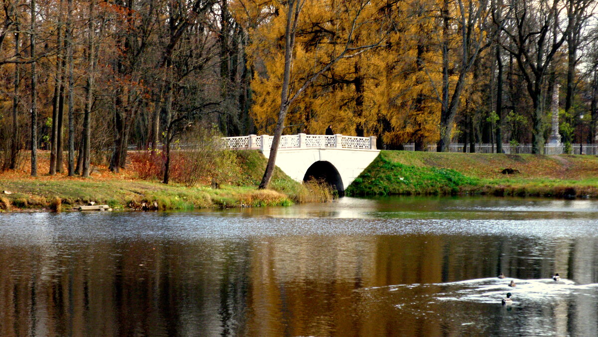 Осенью в парках ЦС - 3 - Сергей 