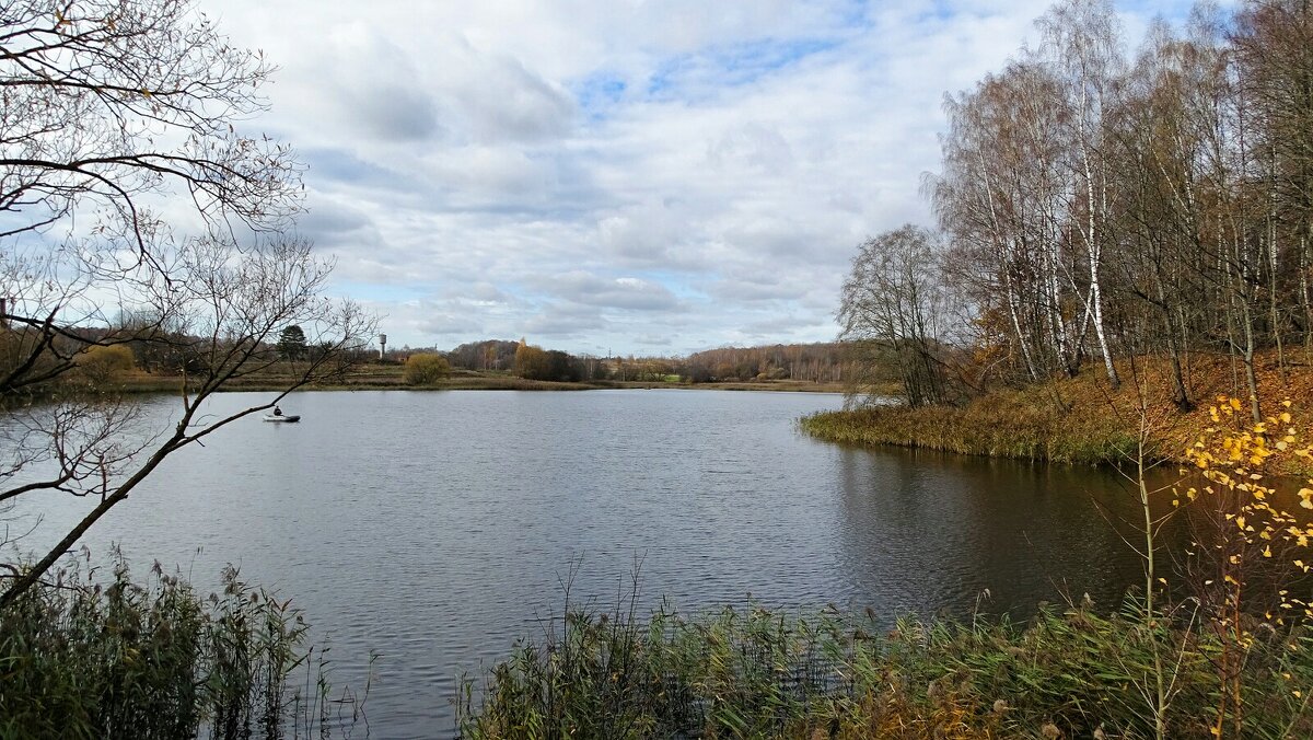 Моя Смоленщина - Милешкин Владимир Алексеевич 