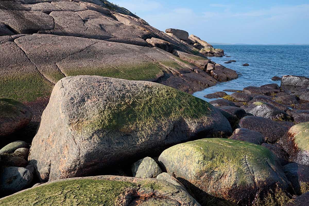 Береговая линия - Сергей Курников