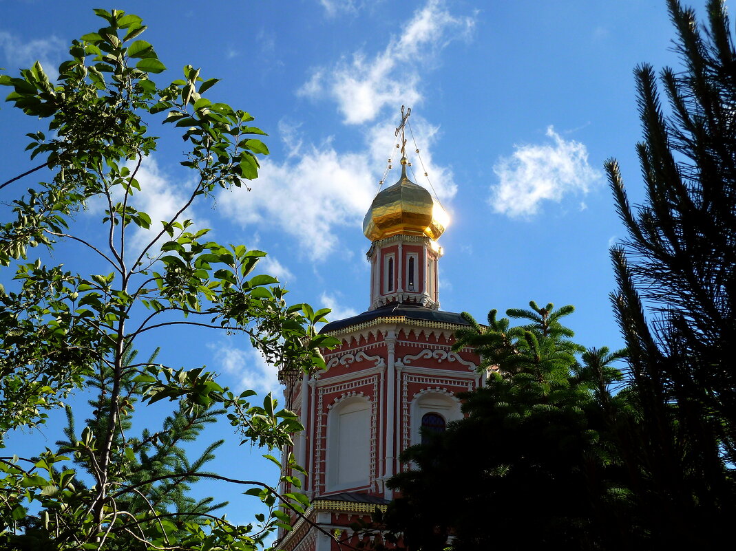 Троицкий собор в Саратове - Лидия Бараблина