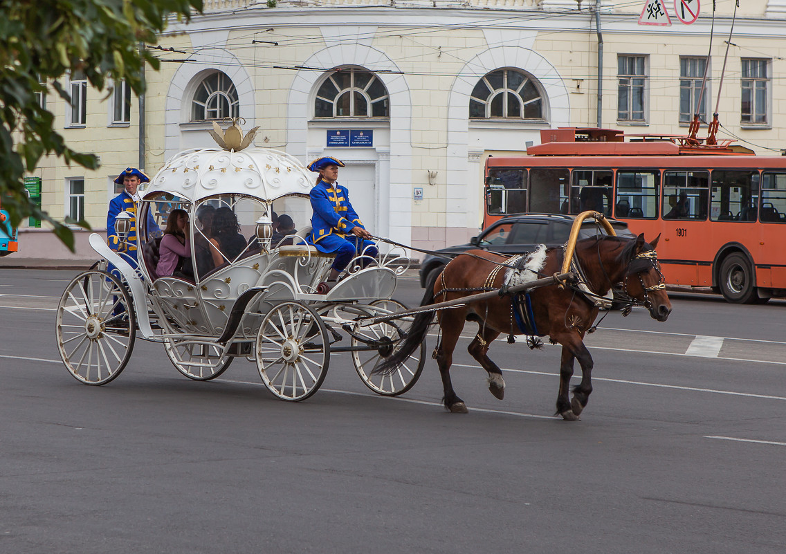 *** - Максим Баранцев