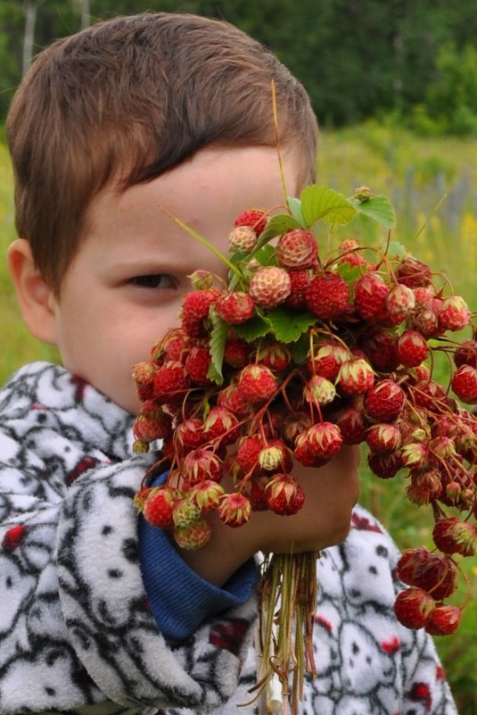 земляничное лето - Юлия Золотухина