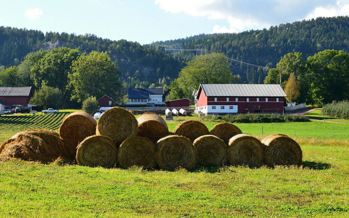 Svelvik,Norge - Lena Mitina