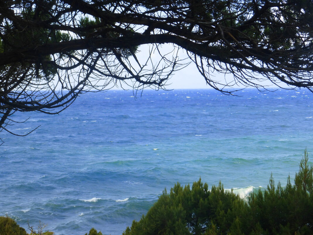 ... - Татьяна Лобанова ... - Татьяна Лобанова