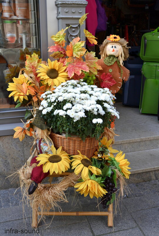 Праздник осени - Lüdmila Bosova (infra-sound) Праздник осени - Lüdmila Bosova (infra-sound)