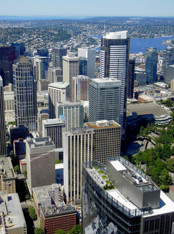 Вид на Сиэтл - Алексей Р. Вид на Сиэтл - Алексей Р.