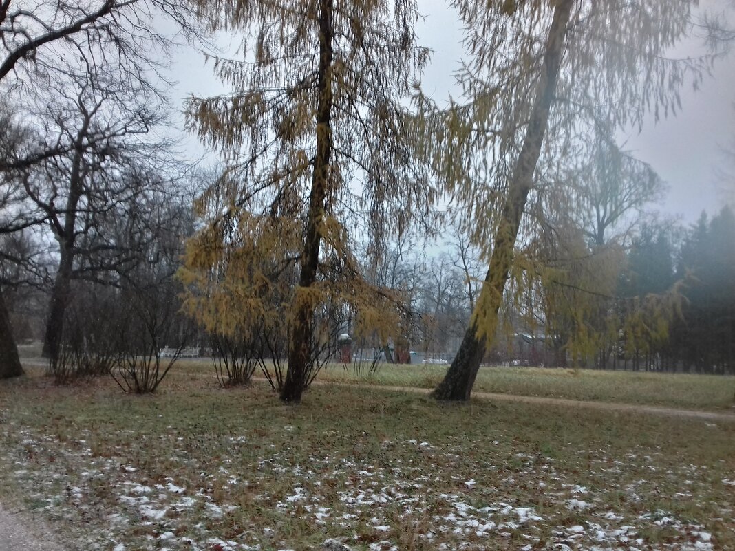 Осень - Сапсан 