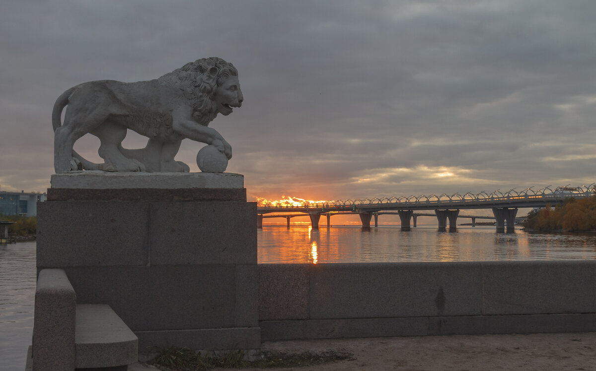 Елагин остров - navalon M