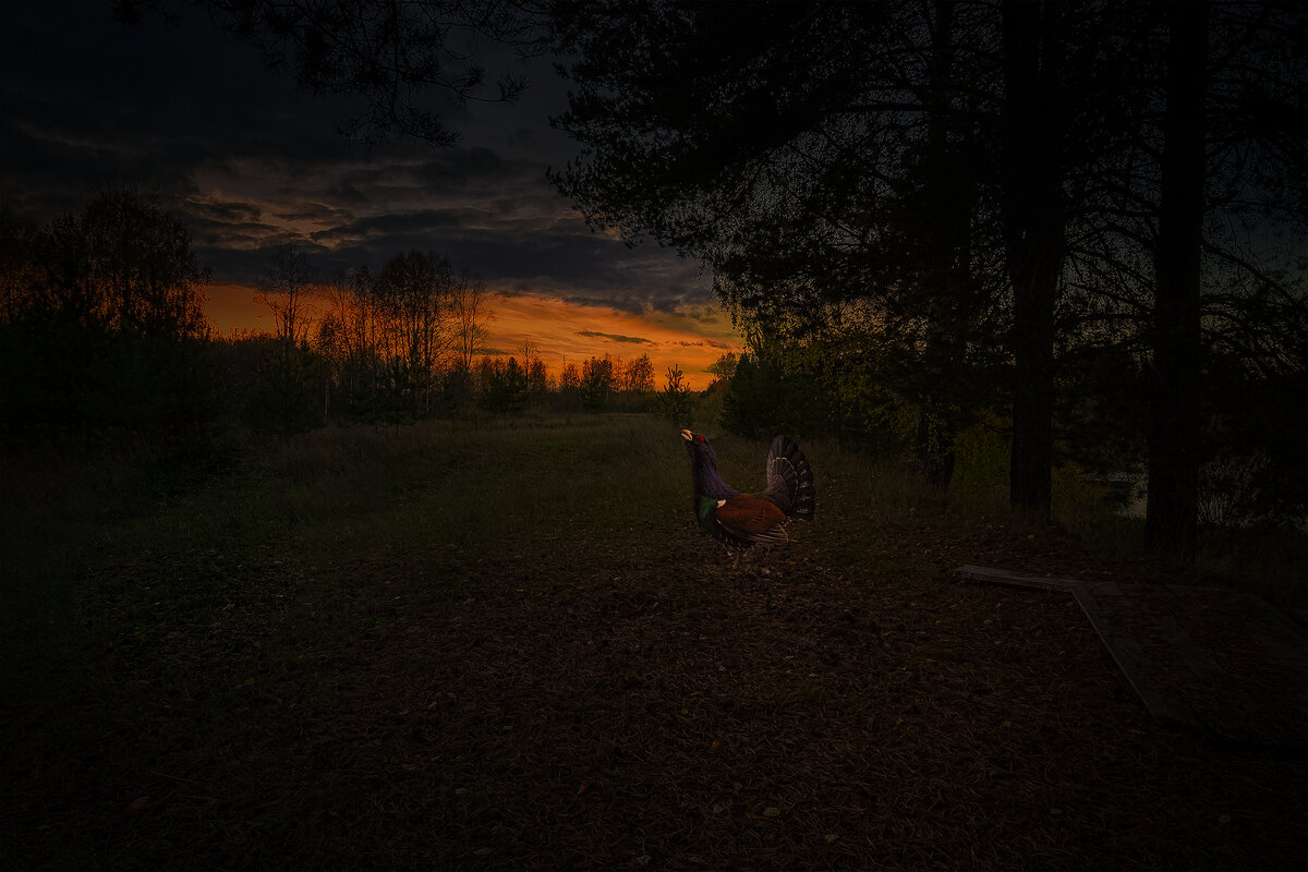 *** - михаил скоморохов