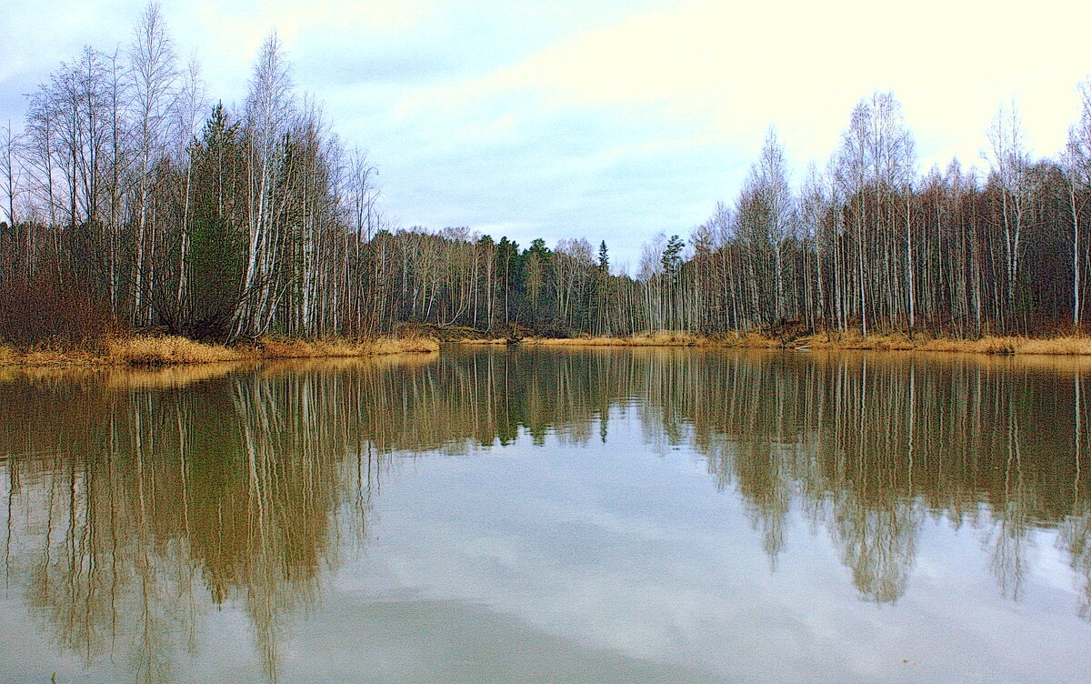 Осенний этюд - Нэля Лысенко