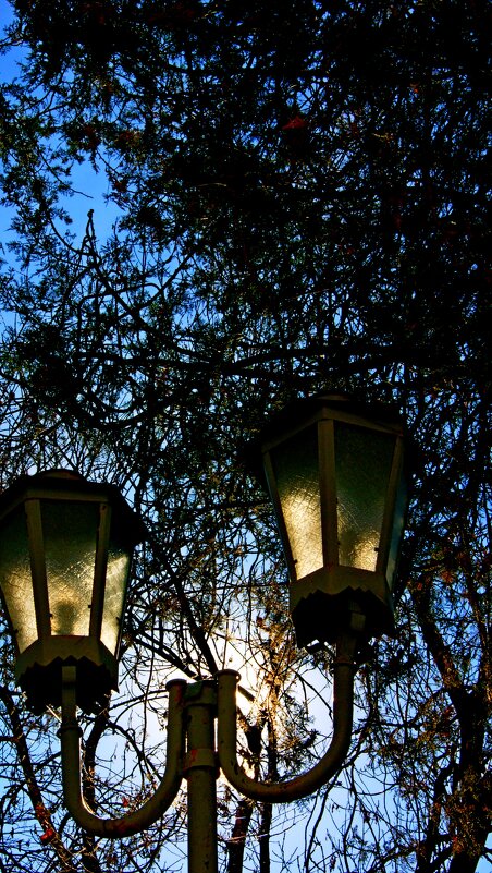 Сумеречные фонарики парка... - Евгений БРИГ и невич Сумеречные фонарики парка... - Евгений БРИГ и невич