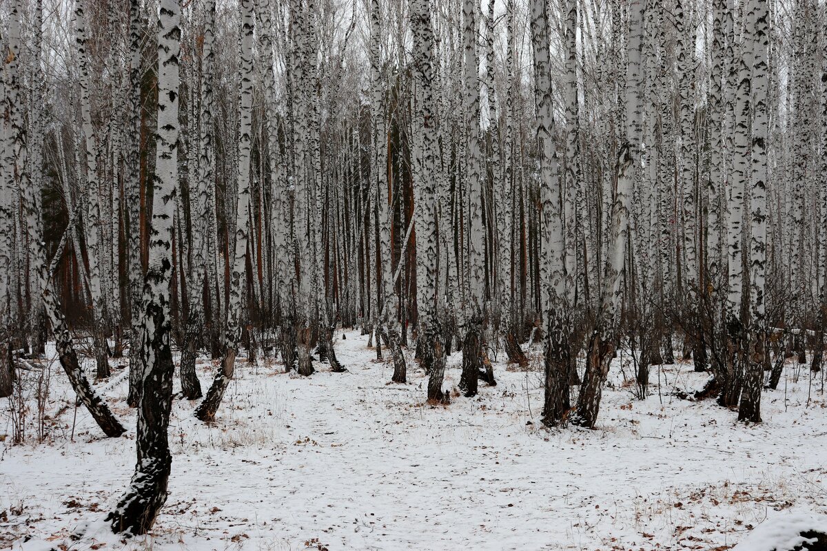 --- - Татьяна Котельникова