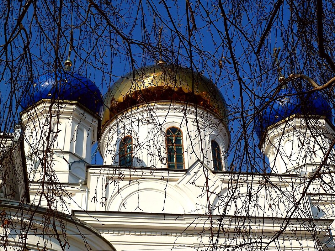 Фрагмент Духосошественской церкви в Саратове сквозь апрельские ветви березы - Лидия Бараблина