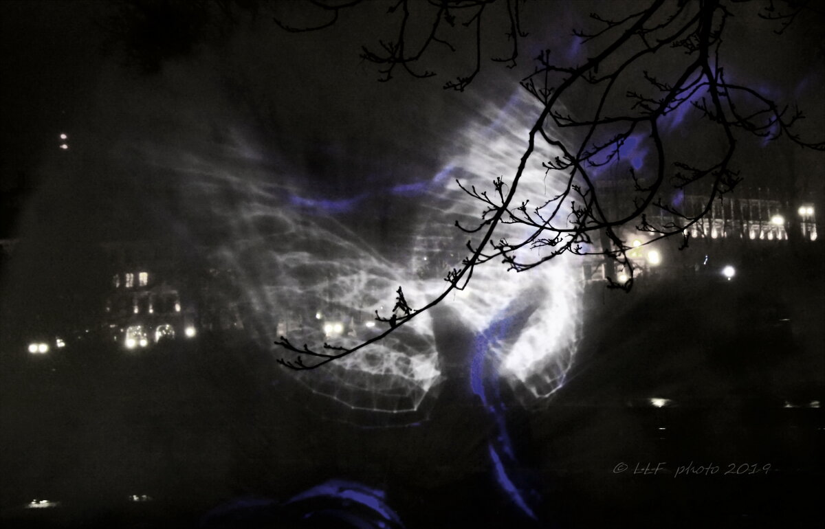 Лазерная проекция на фонтан. - Liudmila LLF Лазерная проекция на фонтан. - Liudmila LLF