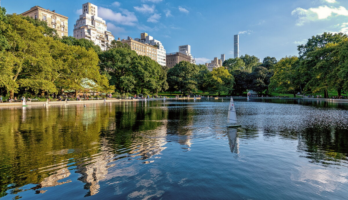 Central Park in NYC - Iosif Magomedov