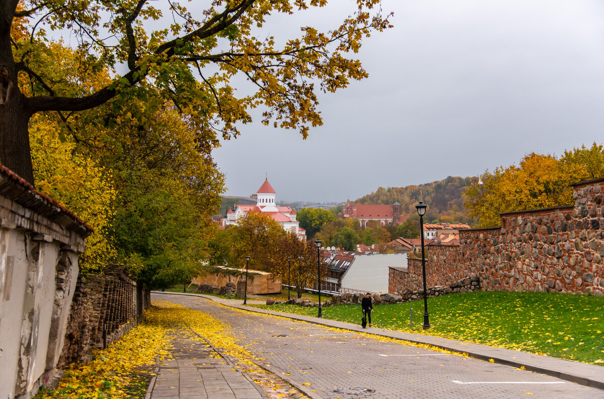 Осенний Вильнюс - Наталия Л.