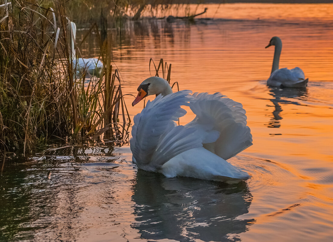 Хозяин озера. - Владимир Орлов