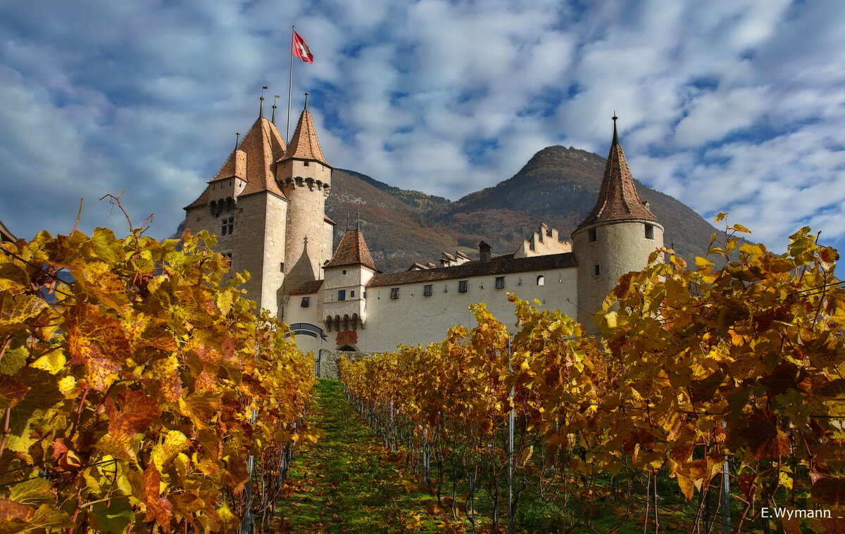 Castle Aigle - Elena Wymann