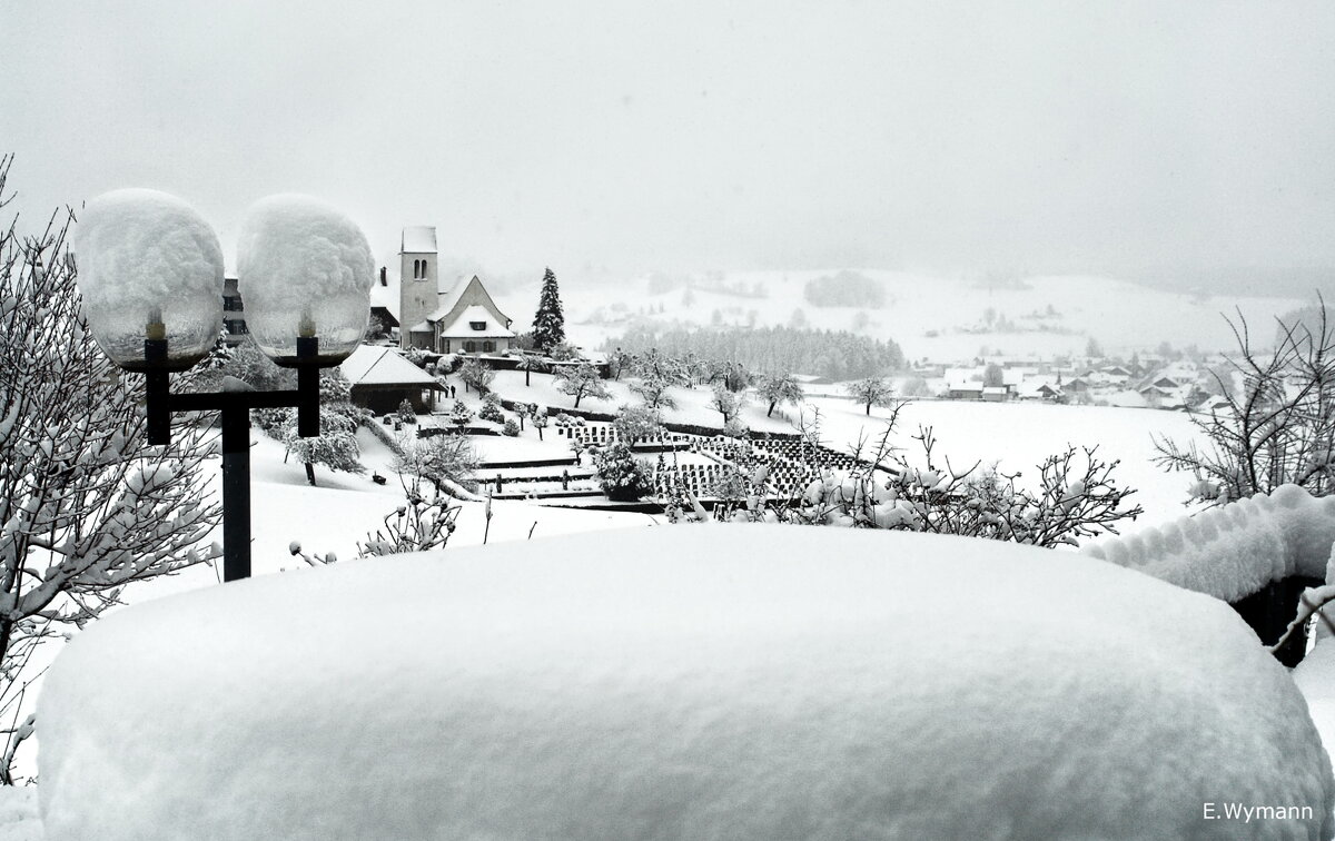 заметает зима - Elena Wymann