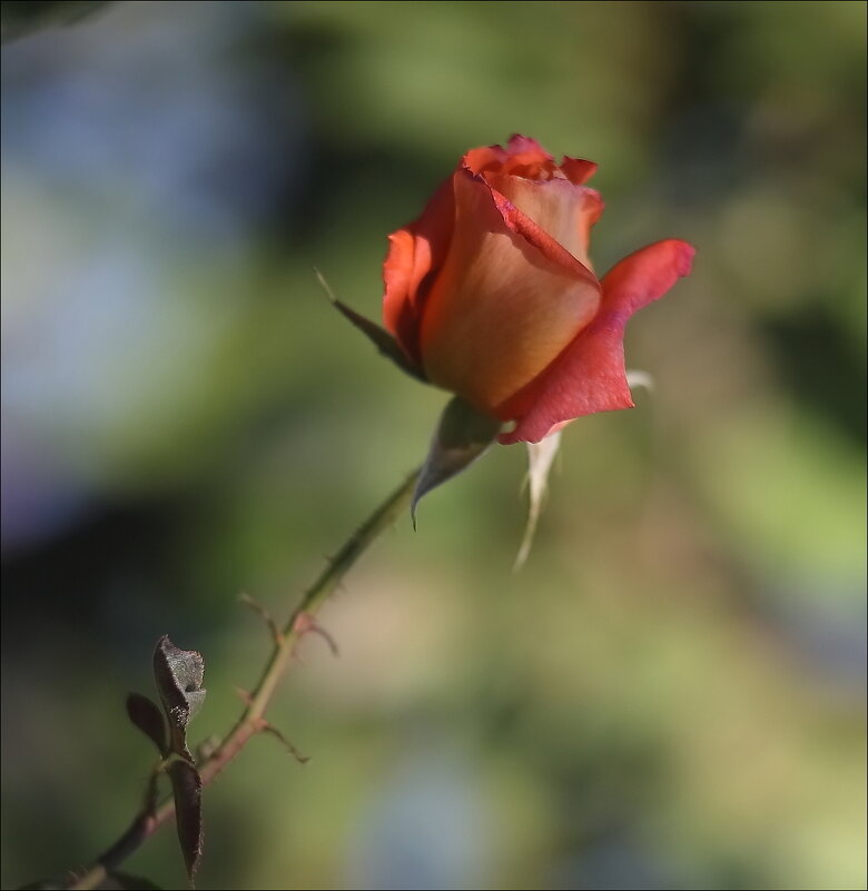 *** - Владимир Стаценко