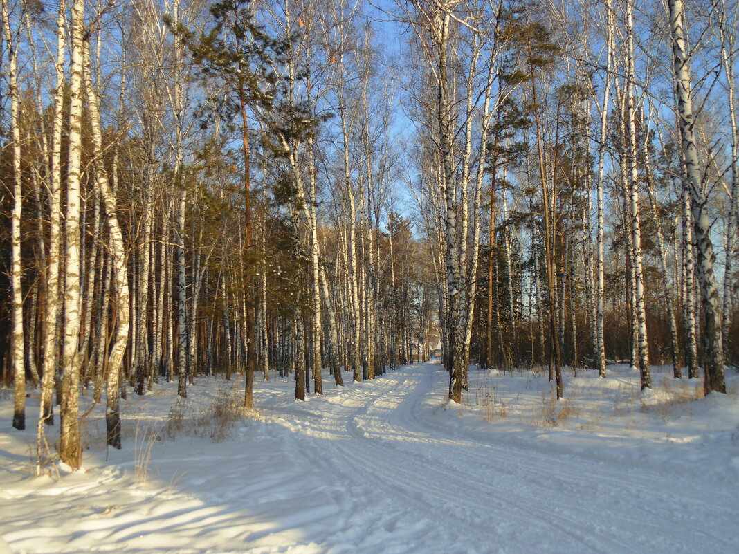Первый день зимы . - Мила Бовкун