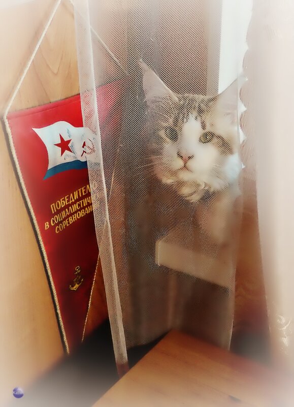 Традиции в строю. Сегодня Международный День прав животных - Екатерина Забелина