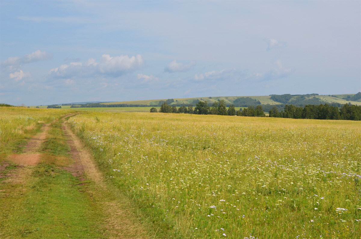 Просторы лета - Татьяна Соловьева Просторы лета - Татьяна Соловьева