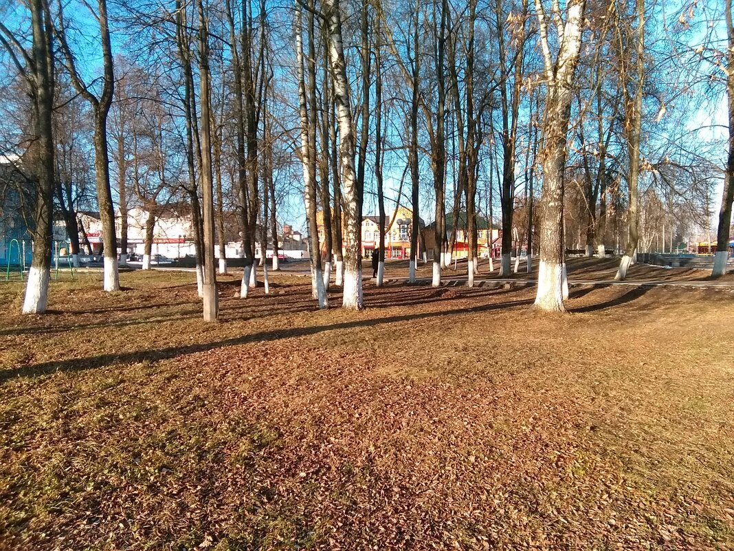 Декабрь в городском парке - Анатолий Кувшинов Декабрь в городском парке - Анатолий Кувшинов