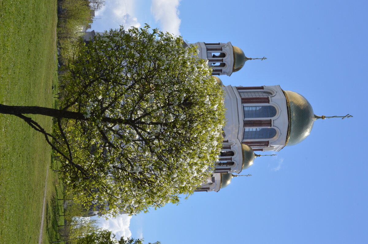 ek - udawchik васин