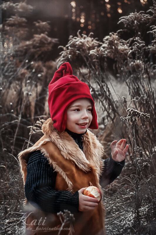 Гномик Алексей! - Екатерина Иванова Гномик Алексей! - Екатерина Иванова