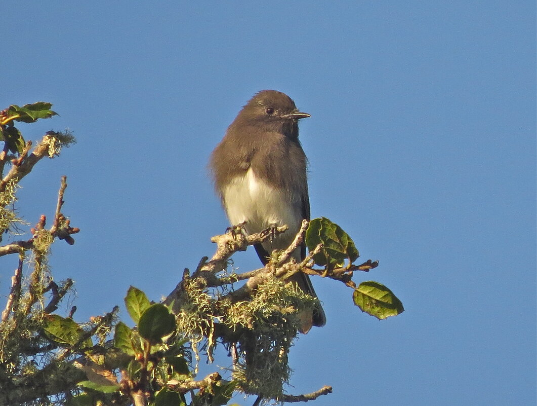 ??? - НАТАЛЬЯ ??? - НАТАЛЬЯ