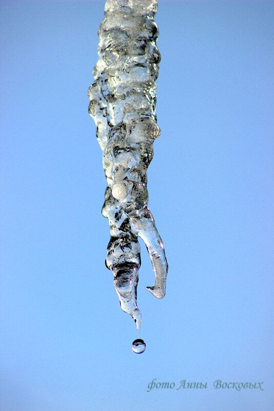 Прозрачная слеза сосульки, похожая на детскую слезу. - Восковых Анна Васильевна Прозрачная слеза сосульки, похожая на детскую слезу. - Восковых Анна Васильевна
