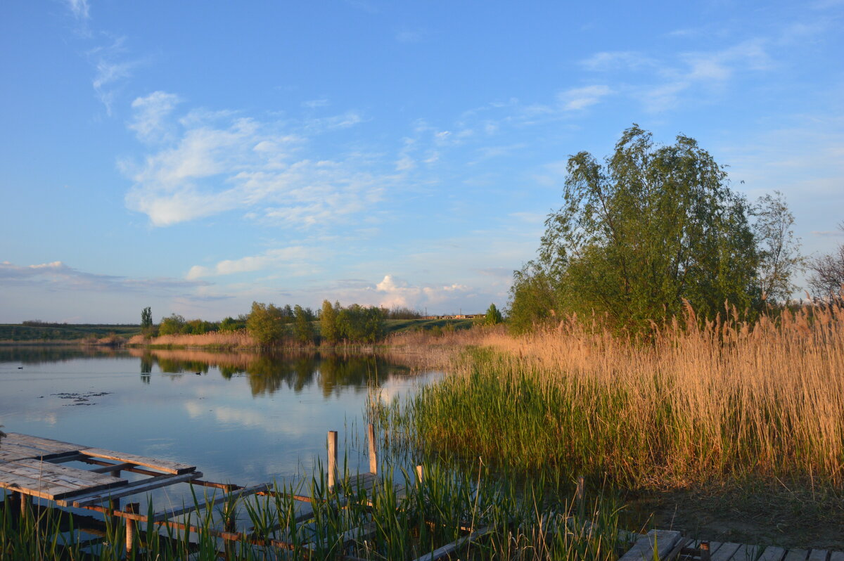 У пруда вечерком. - Виктор У пруда вечерком. - Виктор