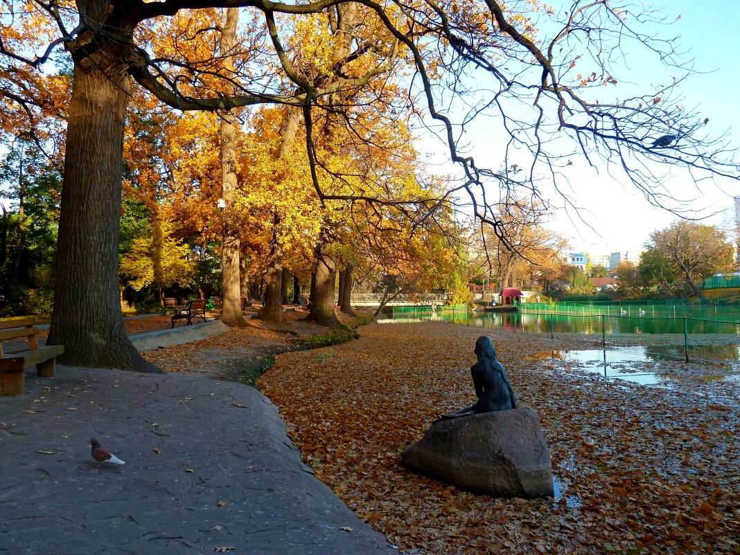 Октябрьское утро в парке... - Лидия Бараблина