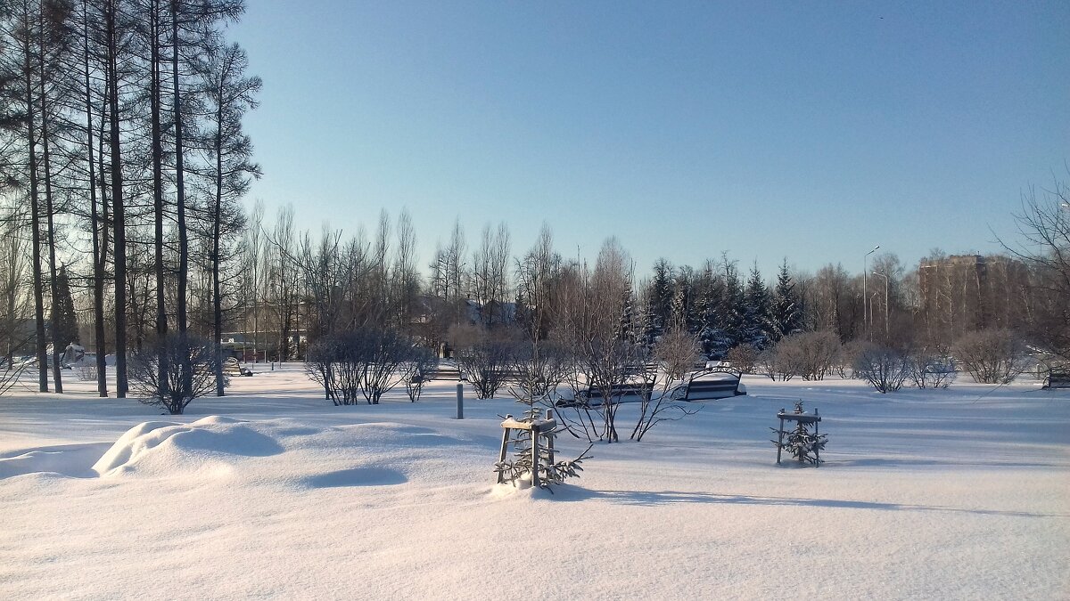 Солнечный морозный ,  -27 , день в парке . - Мила Бовкун